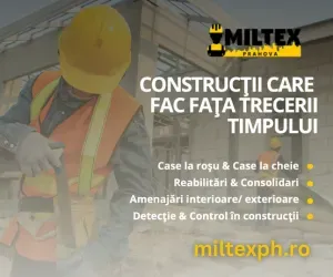 firma+de+constructii.webp